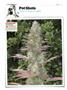 Page: - 120 | High Times