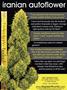 Page: - 134 | High Times
