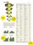 Page: - 38 | High Times