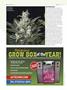 Page: - 52 | High Times