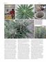 Page: - 56 | High Times