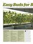 Page: - 62 | High Times