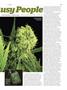 Page: - 63 | High Times