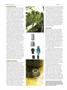 Page: - 64 | High Times