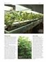 Page: - 66 | High Times