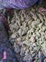 Page: - 68 | High Times