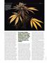 Page: - 84 | High Times