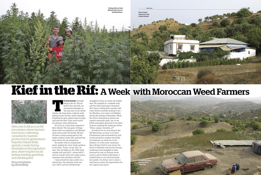 Kief in the Rif: A Week with Moroccan Weed Farmers