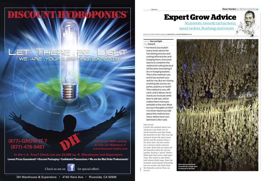 Expert Grow Advice