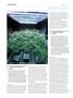 Page: - 100 | High Times