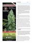 Page: - 104 | High Times