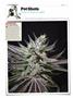 Page: - 120 | High Times