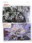 Page: - 122 | High Times