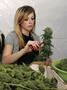 Page: - 13 | High Times