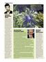 Page: - 22 | High Times