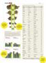 Page: - 38 | High Times