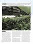 Page: - 43 | High Times