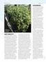 Page: - 44 | High Times