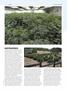 Page: - 45 | High Times