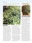 Page: - 48 | High Times