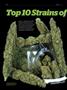 Page: - 62 | High Times