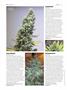 Page: - 64 | High Times