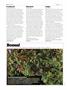Page: - 72 | High Times