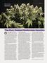 Page: - 78 | High Times