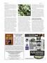 Page: - 86 | High Times