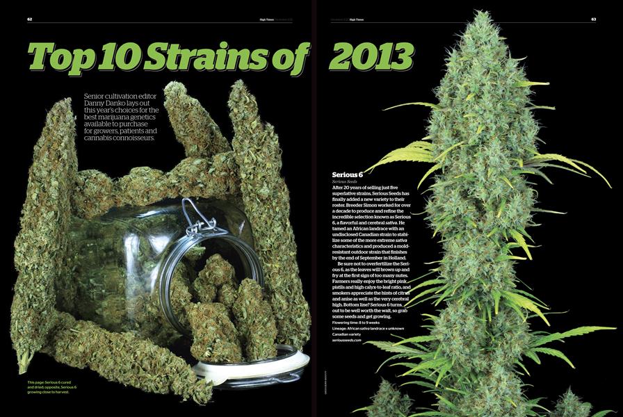 Top 10 Strains Of 2013 | High Times | December 2013