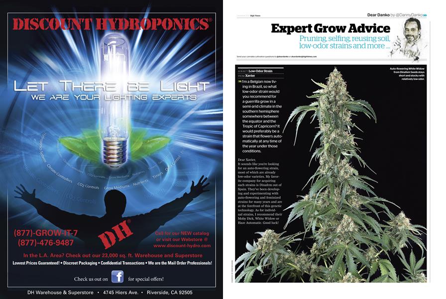 Expert Grow Advice