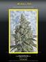 Page: - 111 | High Times