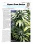 Page: - 113 | High Times