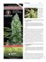 Page: - 118 | High Times