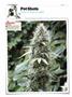 Page: - 134 | High Times