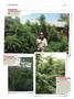 Page: - 138 | High Times