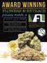Page: - 41 | High Times