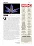 Page: - 8 | High Times