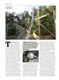 Page: - 82 | High Times