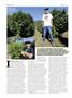 Page: - 84 | High Times