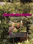 Page: - 88 | High Times
