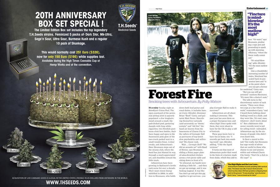 Forest Fire