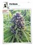 Page: - 134 | High Times
