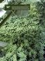Page: - 14 | High Times