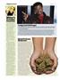 Page: - 22 | High Times