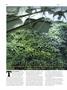 Page: - 60 | High Times