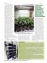 Page: - 62 | High Times