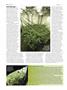 Page: - 66 | High Times