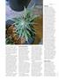 Page: - 74 | High Times