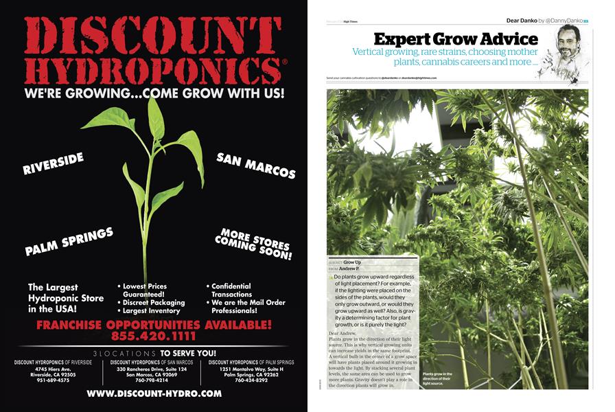 Expert Grow Advice